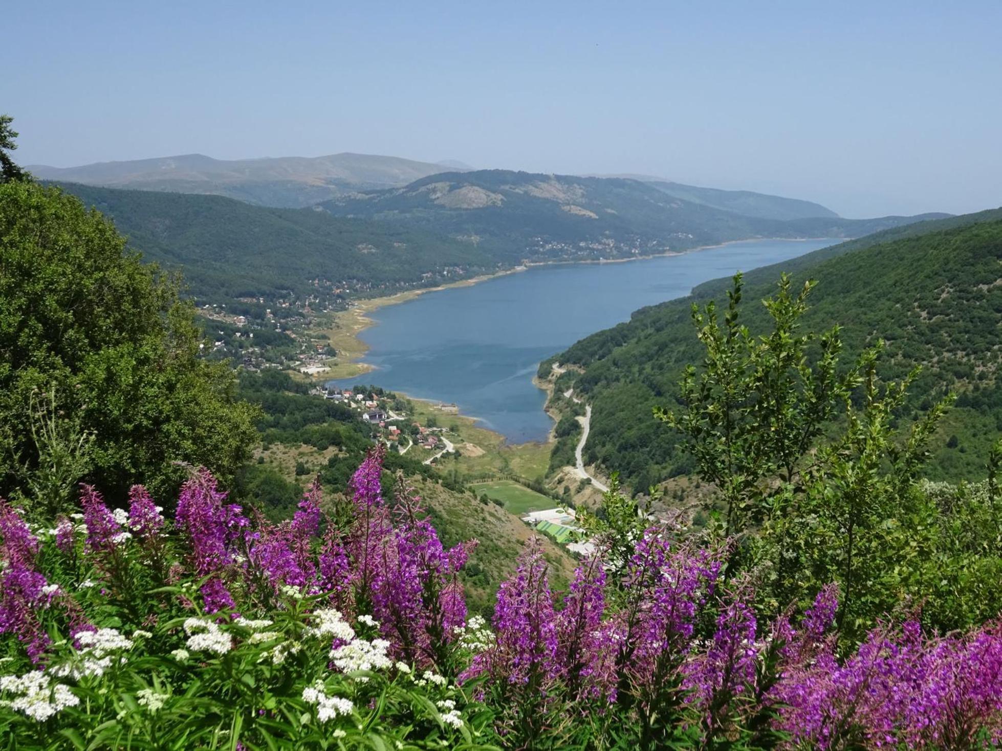 Forest View Apartment Mavrovo Kültér fotó