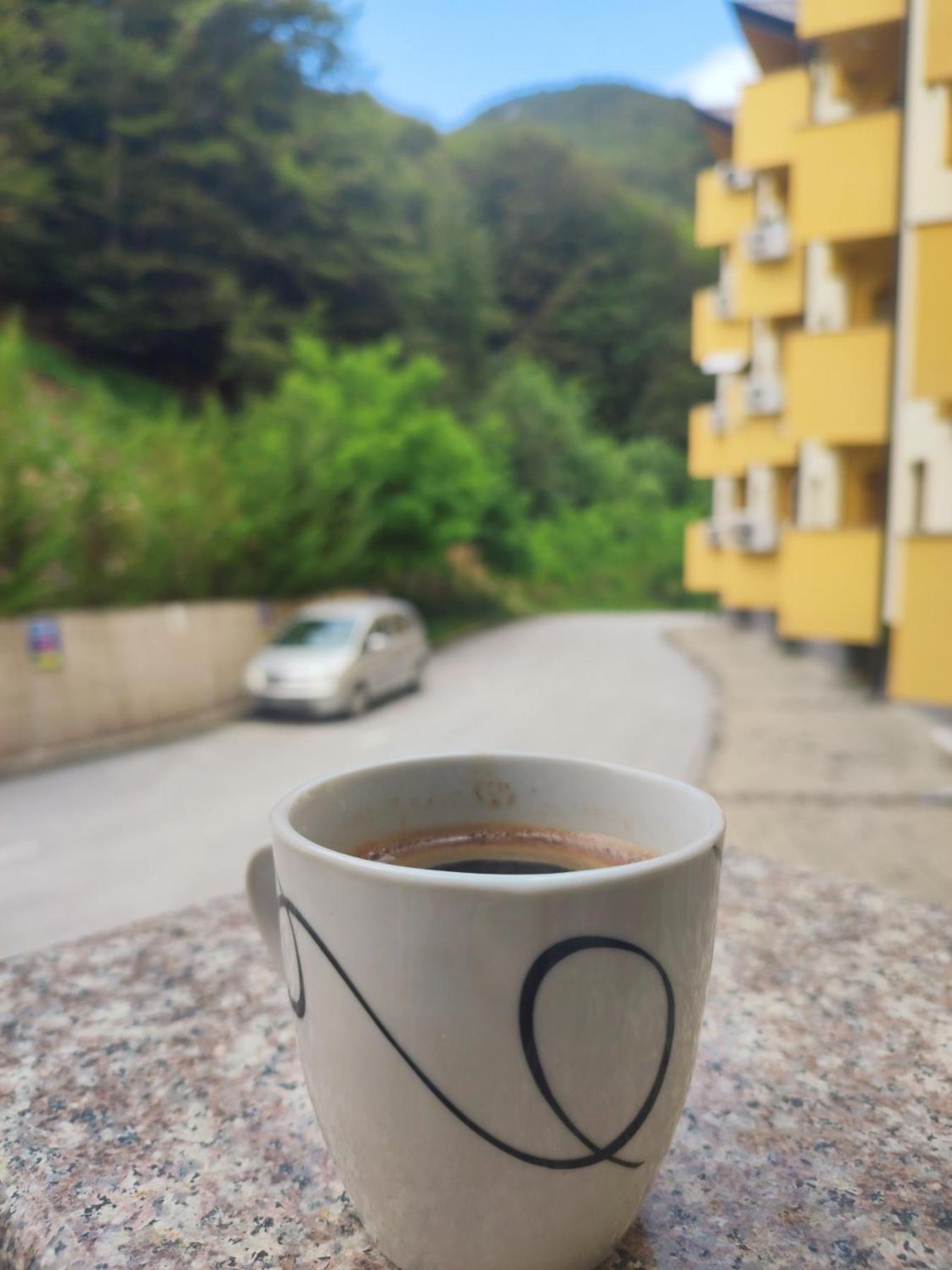 Forest View Apartment Mavrovo Kültér fotó